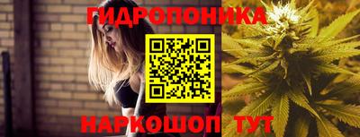 крисы Пушкино