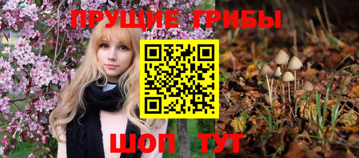 Псилоцибиновые грибы Magic Shrooms  купить наркотики сайты  Галлюциногенные грибы Psilocybe  Пушкино  Вход с VPN 