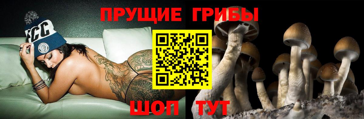 Галлюциногенные грибы мицелий Пушкино
